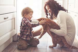 Madre e hijo jugando con un gran gato atigrado naranja en el suelo de la cocina de casa.