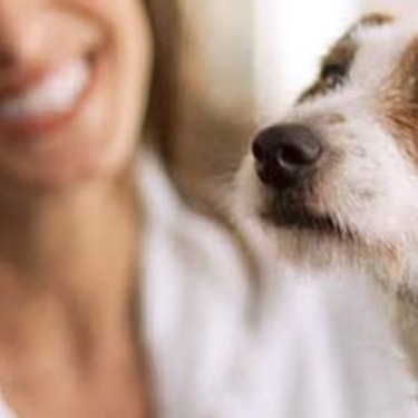 Mujer acariciando perro blanco 