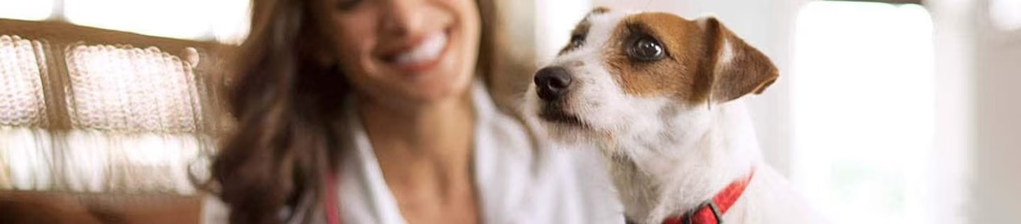 Mujer acariciando perro blanco 