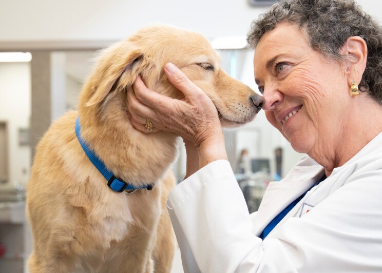 una veterinaria sosteniendo un perro