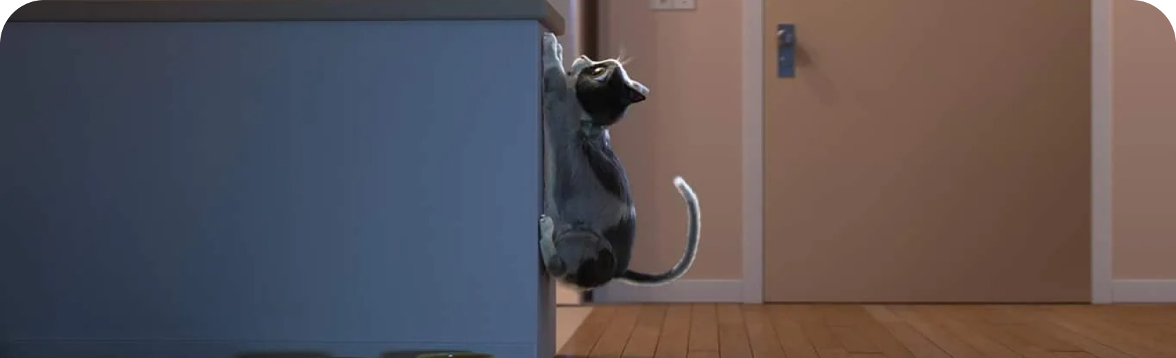 Un gato intentando subir al mostrador de la cocina