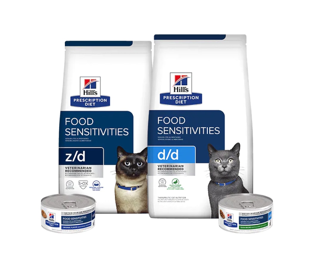  Cuidado de la piel comida para gatos