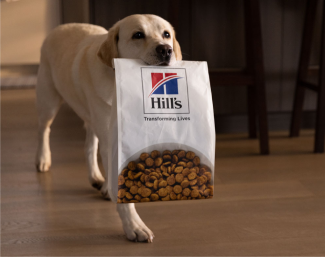Dog walking with Hill's food