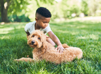 dog and boy 