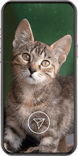 Únete a la Misión Amigos Para Siempre