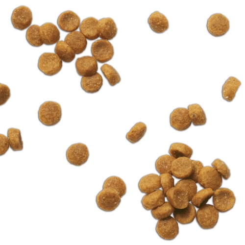 pd-cd-multicare-feline-with-ocean-fish-dry