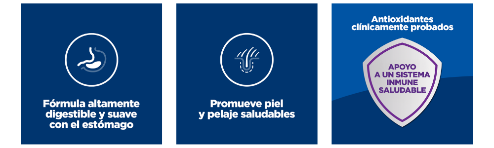 Infografía de beneficios para mascotas: fórmula altamente digestible, promueve piel y pelaje saludables, y antioxidantes para el sistema inmune